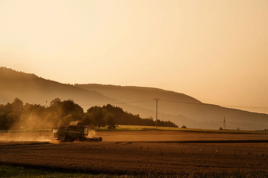 Ernte im Abendlicht